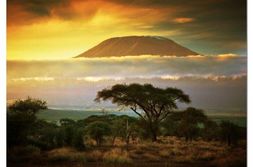 DesignArt Mount Kilimanjaro Landscape Photographic Print on Wrapped Canvas